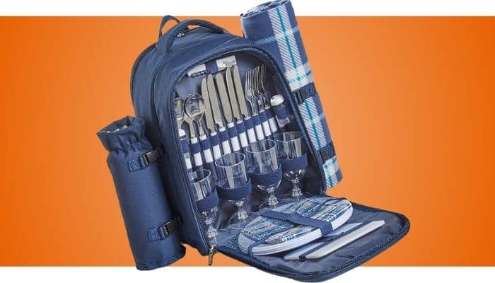 Picnic Backpack