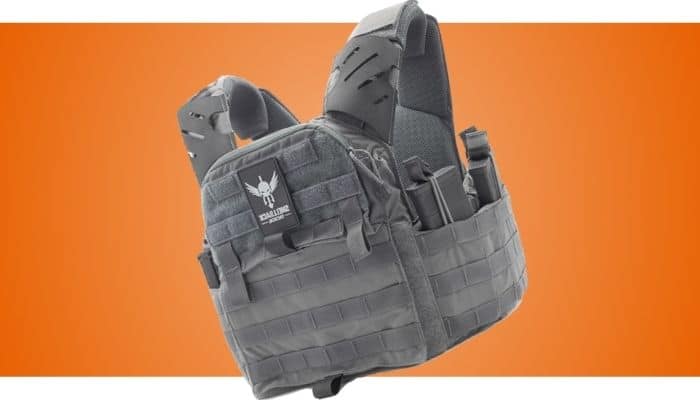 Shellback Tactical Banshee Elite Plate Carrier