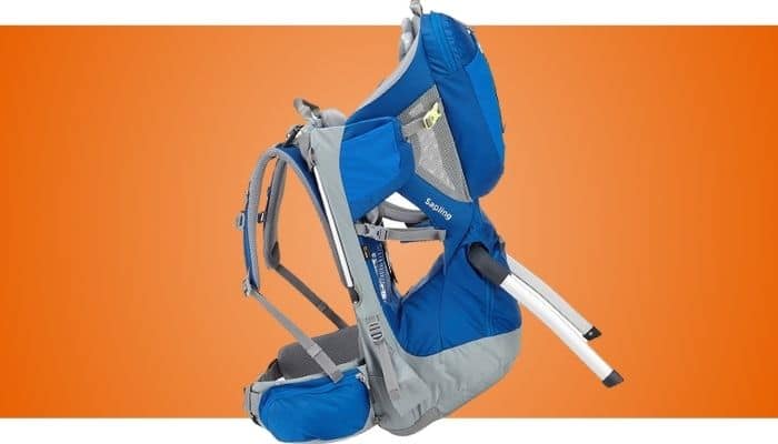 Thule Sapling Child Carrier