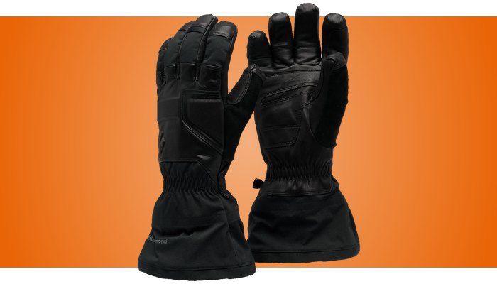 Black Diamond Guide Gloves in black, back and palm